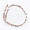 Natural Cultured Freshwater Pearl Beads Strands PEAR-K003-23A-01-2