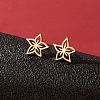 Stainless Steel Stud Earrings for Women PW-WGFE412-27-1