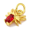 Rack Plating Brass Micro Pave Cubic Zirconia Charms KK-F881-02G-01-2