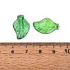 Transparent Acrylic Pendants TACR-436-17-3