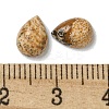 Natural Picture Jasper Cabochons G-Q173-02B-13-3