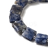 Natural Blue Spot Jasper Beads Strands G-L596-A07-01-4