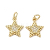 Brass Micro Pave Clear Cubic Zirconia Charms KK-F930-01G-1