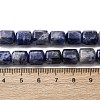 Natural Sodalite Beads Strands G-R015-A03-5