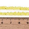 Transparent Glass Beads Strands GLAA-N018-3mm-03-2