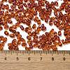 Spray Painted Glass Seed Beads SEED-F005-05A-01-4