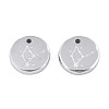 Non-Tarnish 316 Surgical Stainless Steel Charms STAS-S116-418D-P-2