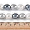 Electroplated Shell Pearl Beads Strands BSHE-Z010-01A-5