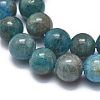 Natural Apatite Beads Strands LS-G-I254-08A-01-3