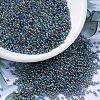 MIYUKI Round Rocailles Beads SEED-X0054-RR0249-1