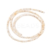 Natural Freshwater Shell Beads Strands SHEL-T011-02-4mm-2
