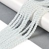 Glass Pearl Beads Strands HY-XCP0001-16-1