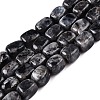 Natural Larvikite Beads Strands G-T138-106-4