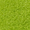MIYUKI Delica Beads SEED-JP0008-DB0766-3