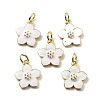 Brass Enamel Charms KK-Z114-23G-02-1