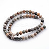Natural Ocean Jasper Bead Strands G-K152-06-10mm-1