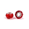 Transparent Glass European Beads GPDL-N004-D14mm-B04-2