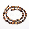 Natural Petrified Wood Beads Strands G-F465-20B-2