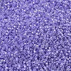 MIYUKI Delica Beads SEED-X0054-DB0249-3