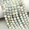 Natural Myanmar Jade/Burmese Jade Beads Strands G-K310-C05-8mm-01-5