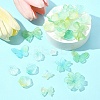 60G Transparent Acrylic Beads OACR-FS0001-90C-8
