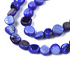 Natural Trochid Shell/Trochus Shell Beads Strands SHEL-S258-083-4