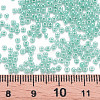 12/0 Imitation Jade Glass Seed Beads SEED-S049-A-013-4