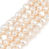 Natural Cultured Freshwater Pearl Beads Strands PEAR-P064-19E-12A-2