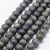 Electroplate Natural Labradorite Beads Strands G-F518-05-10mm-1