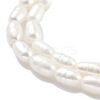 Natural Cultured Freshwater Pearl Beads Strands PEAR-P062-01E-4