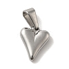 Non-Tarnish 304 Stainless Steel Charms LS-STAS-B053-12P-1