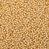 TOHO Round Seed Beads SEED-XTR08-0923-2