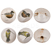 6Pcs 2 Colors Porcelain Buttons BUTT-OC0001-60-1