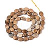Natural Picture Jasper Beads Strands G-T142-30-2