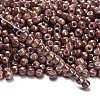 TOHO 6/0 Round Beads SEED-XTR06-1203-2