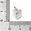 925 Sterling Silver Micro Pave Clear Cubic Zirconia Charms STER-V001-01P-05-3