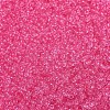MIYUKI Round Rocailles Beads SEED-G007-RR1319-3