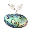 Natural Paua Shell Brooches JEWB-E031-06P-1