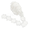 Organza Ribbons DIY-WH0297-25B-1