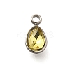 304 Stainless Steel Pendants STAS-Q346-04P-06-1