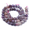Natural Purple Red Tourmaline  Beads Strands G-N327-02C-01-2