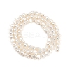 Natural Cultured Freshwater Pearl Beads Strands PEAR-P064-19C-12A-3