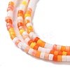 Handmade Lampwork Beads Strands LAMP-L078-008B-3