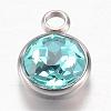 304 Stainless Steel Glass Rhinestone Charms STAS-G082-01-1