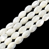 Natural Trochus Shell Beads Strands BSHE-E030-02A-2