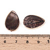 Dyed Natural Freshwater Shell Beads SHEL-T020-23-3