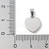 304 Stainless Steel Micro Pave Cubic Zirconia Pendants STAS-Z107-04P-03-3