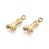 304 Stainless Steel Charms STAS-T067-88G-1