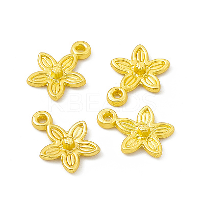 Rack Plating Alloy Charms LS-FIND-G045-05MG-1