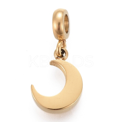 Ion Plating(IP) 304 Stainless Steel Charms STAS-F259-014G-1
